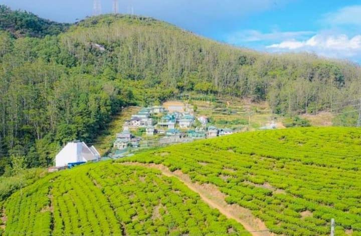 Aloka Home Stay Nuwara Eliya Luaran gambar